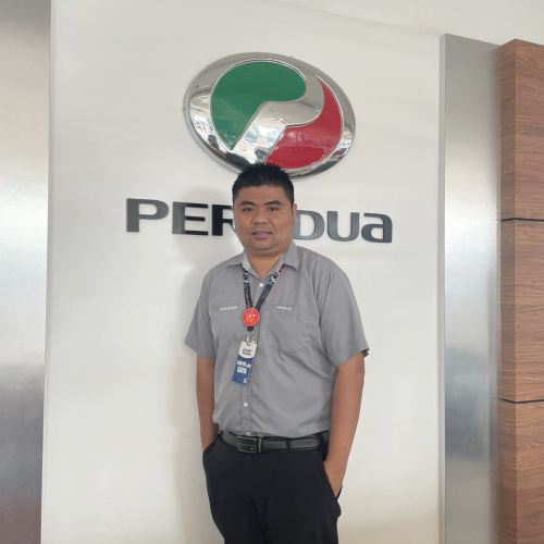 perodua kuching tan