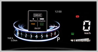 alza multi info display