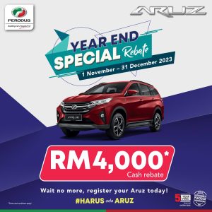 aruz year end special rebate