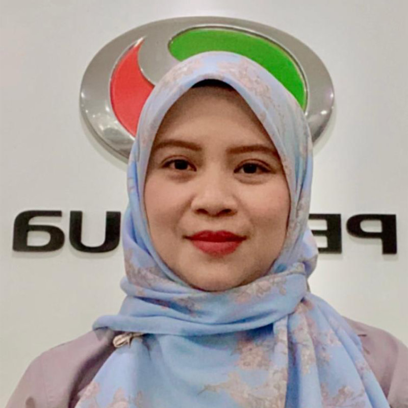 perodua emma with logo